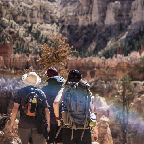 Programm Wandern
