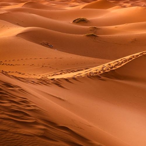 Destination Marrakesch