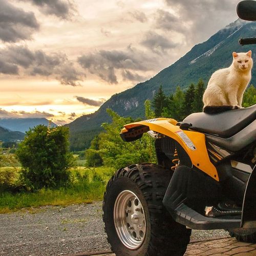 Programm Quad fahren & Flying Fox