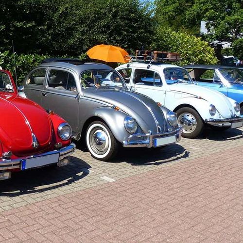 Programm Käfer Tour