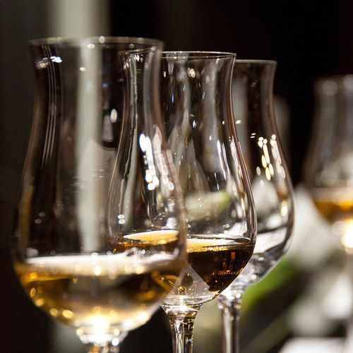 Programm Weinprobe