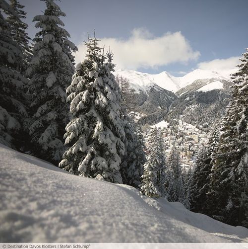 Destination Davos