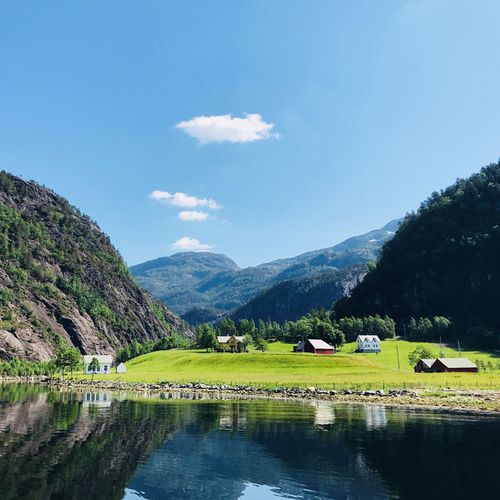 Programm Fjordsafari
